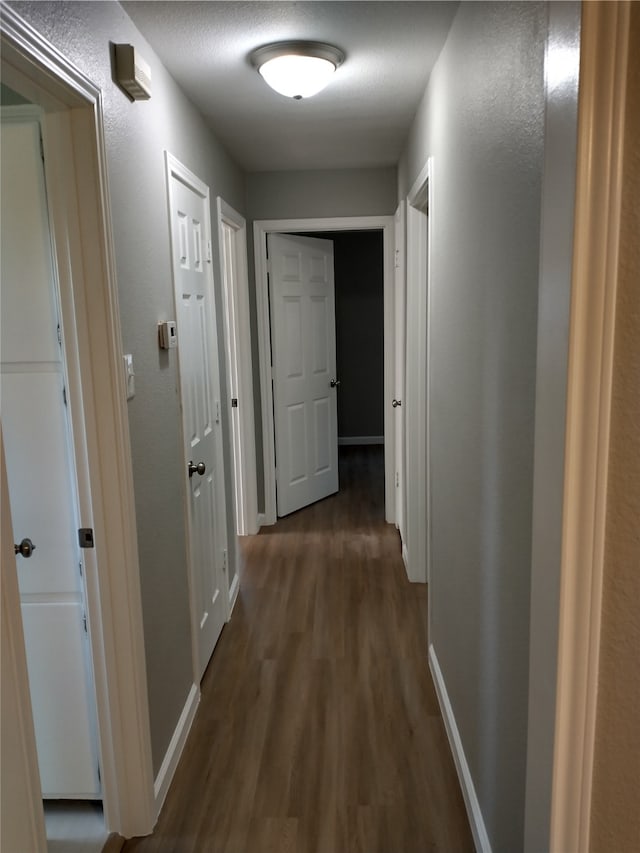 corridor featuring dark wood-type flooring