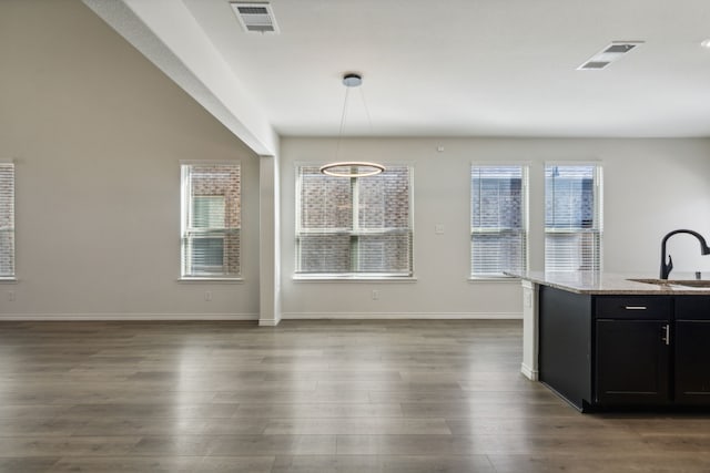 unfurnished dining area featuring a healthy amount of sunlight, sink, and dark wood-type flooring