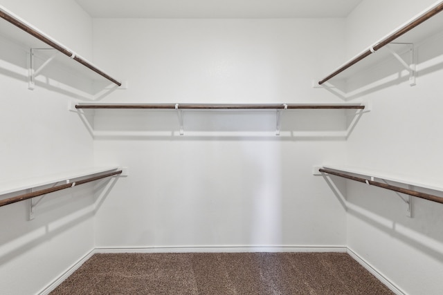 walk in closet featuring carpet