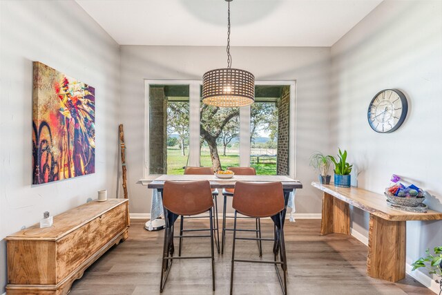 dining space with hardwood / wood-style floors