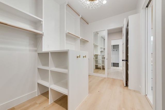 walk in closet featuring light wood-style floors