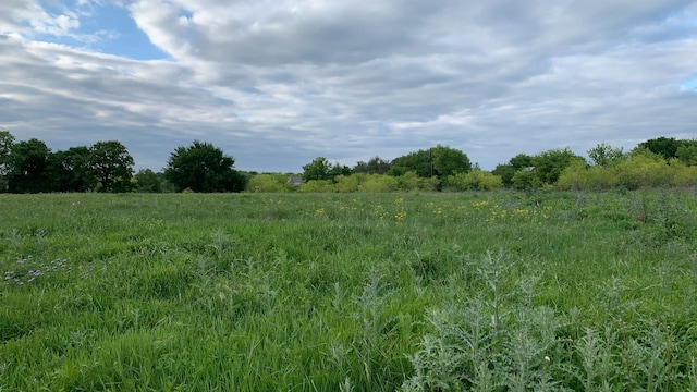 view of nature featuring a rural view