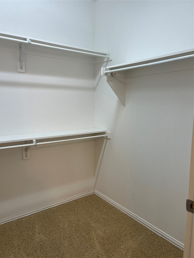 walk in closet featuring carpet floors