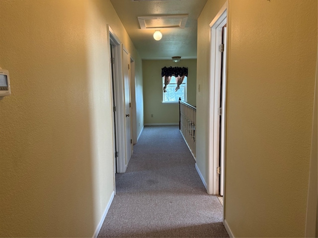 corridor with a textured ceiling and carpet floors