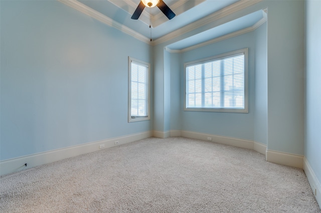 carpeted spare room with crown molding, a raised ceiling, and ceiling fan