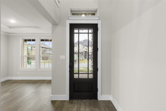 entryway with a raised ceiling and dark hardwood / wood-style floors