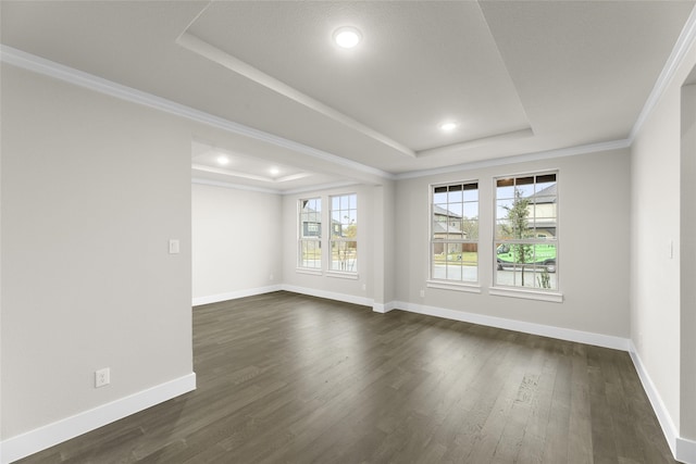 spare room featuring ornamental molding, dark wood-type flooring, and a tray ceiling