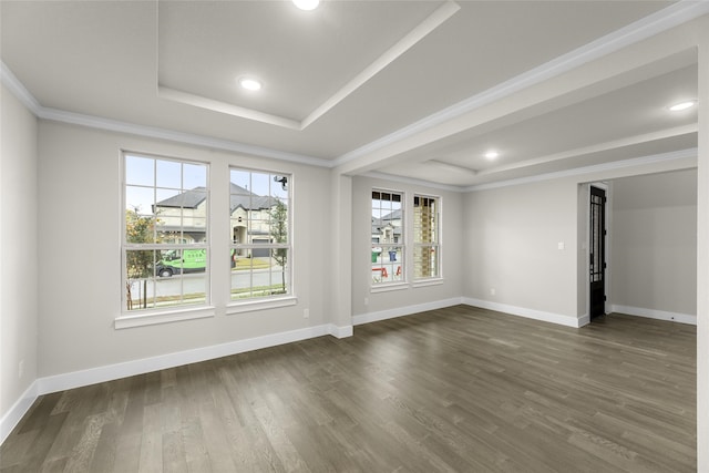 unfurnished room featuring a raised ceiling, dark wood-type flooring, and a healthy amount of sunlight