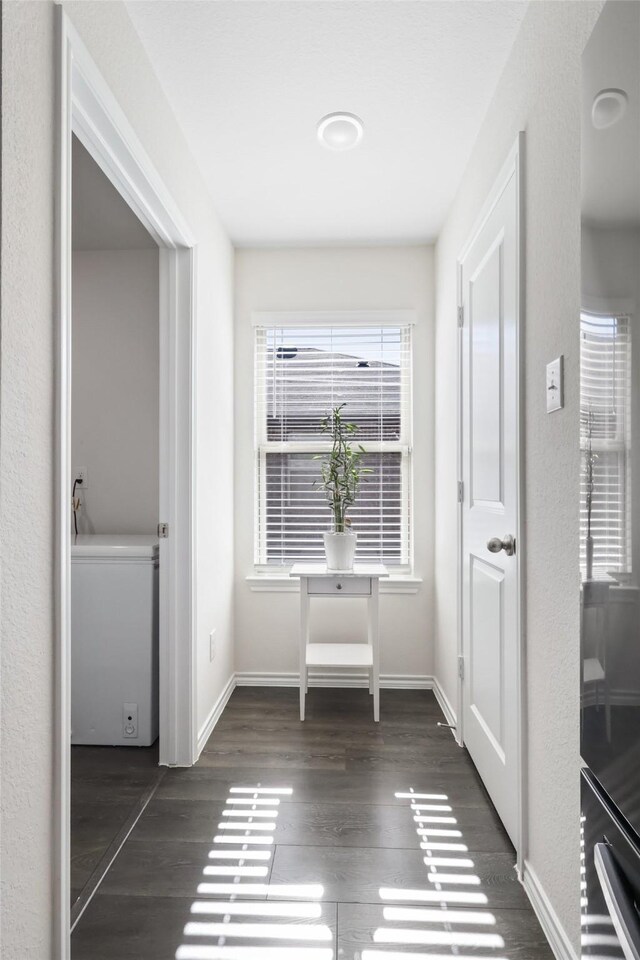 corridor with dark hardwood / wood-style floors