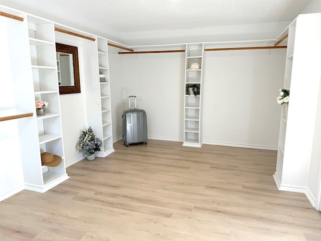 walk in closet featuring light hardwood / wood-style floors