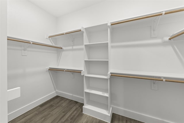 spacious closet with dark wood-type flooring