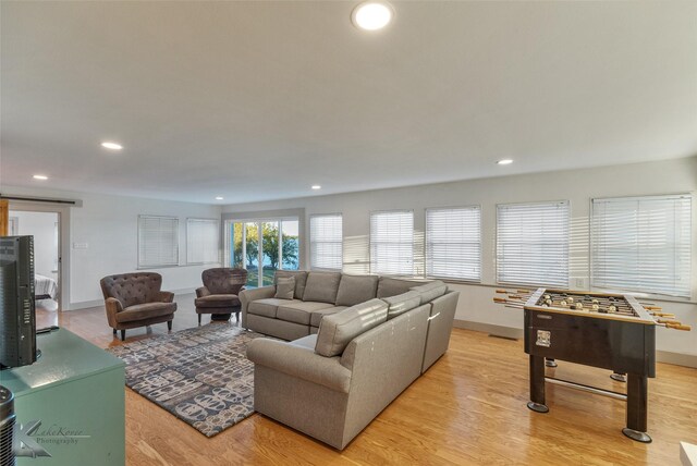 living room with light hardwood / wood-style floors