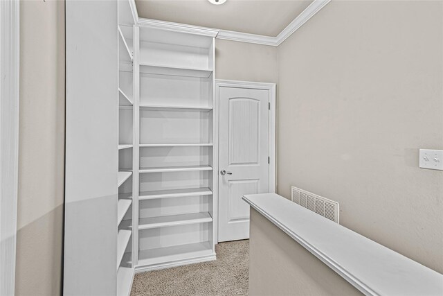 walk in closet featuring light carpet