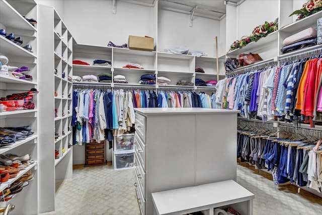 spacious closet with light carpet