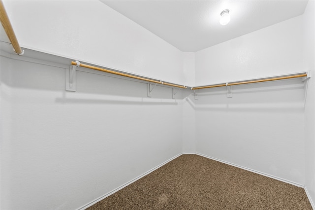 walk in closet featuring carpet