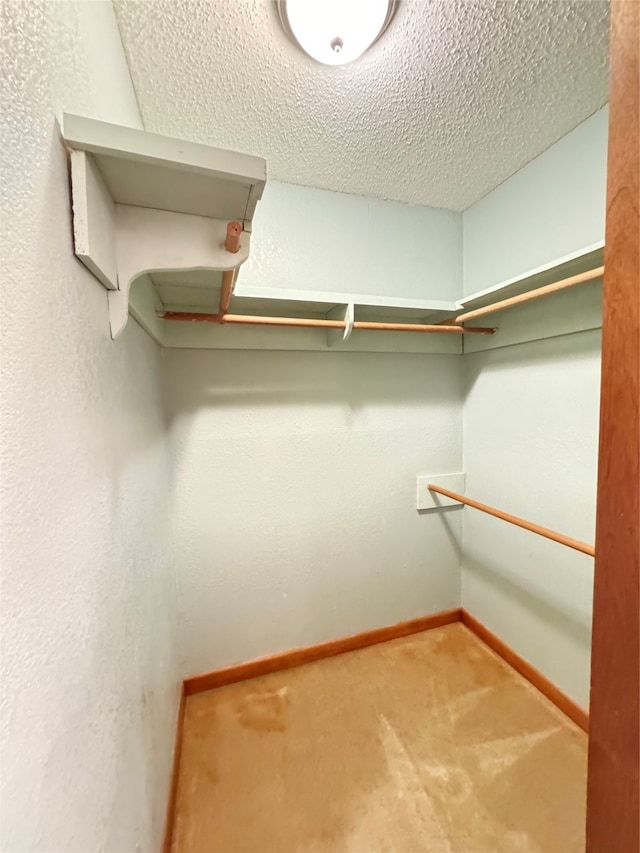 spacious closet with carpet flooring