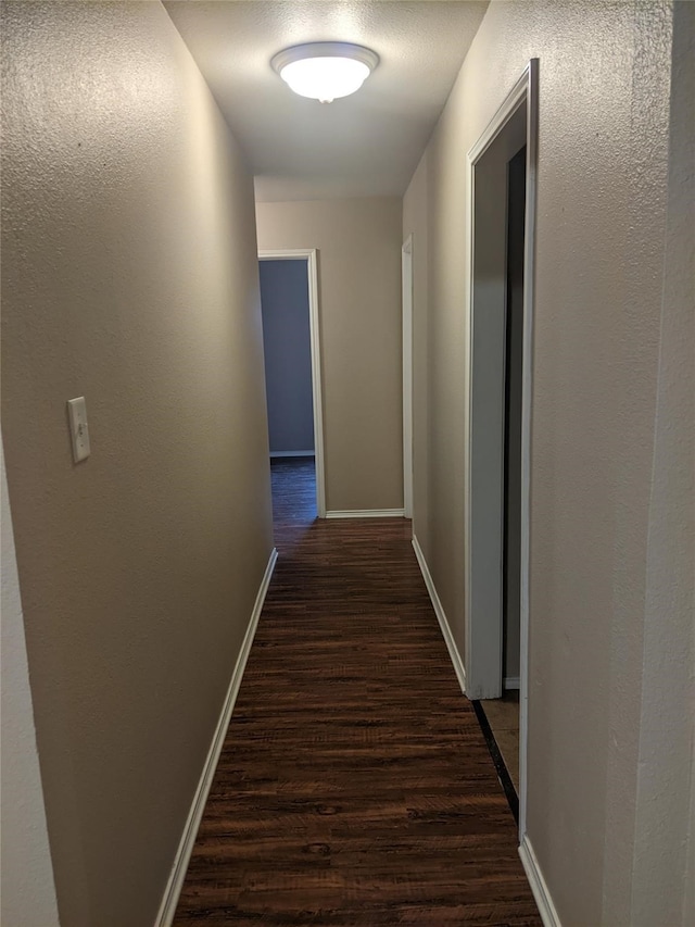 hallway featuring dark wood-type flooring