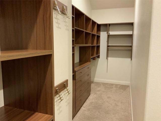 spacious closet featuring light colored carpet