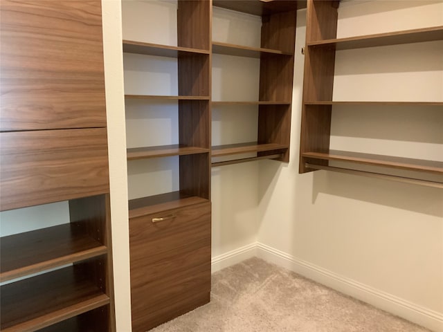 walk in closet with light carpet