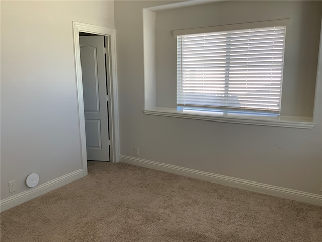 spare room featuring carpet