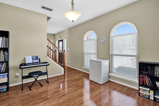 entrance foyer with plenty of natural light and wood-type flooring