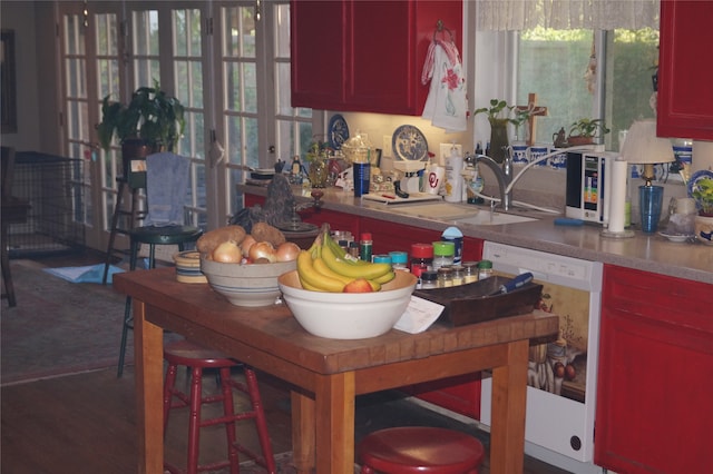 kitchen featuring dark hardwood / wood-style flooring, a wealth of natural light, dishwasher, and sink