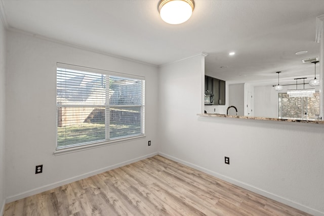 spare room with ornamental molding and light hardwood / wood-style flooring