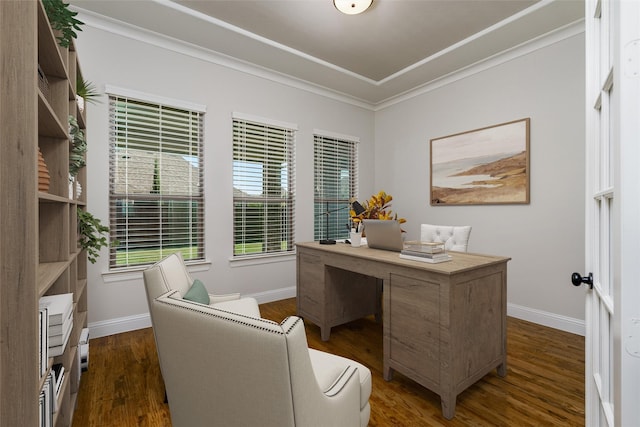 office area featuring dark wood-style floors, baseboards, and ornamental molding