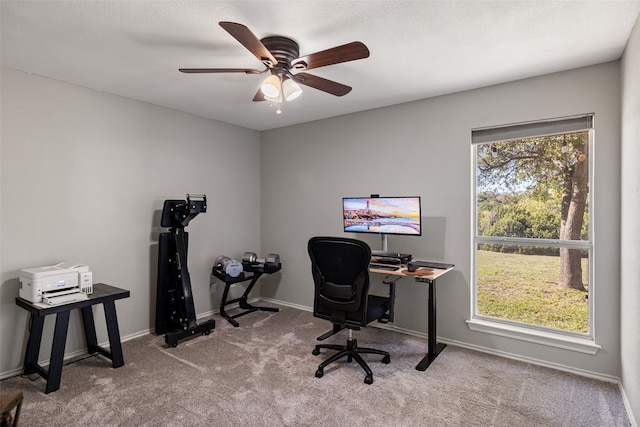 home office with a wealth of natural light, ceiling fan, and light carpet