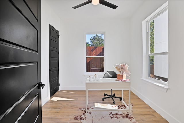 office space with ceiling fan and light wood-type flooring