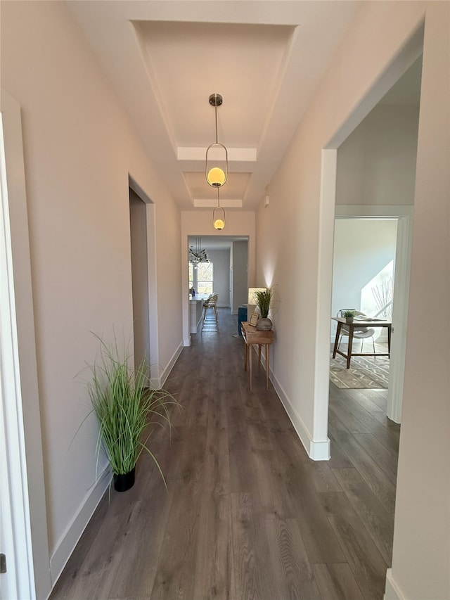 hall featuring dark hardwood / wood-style flooring and a tray ceiling