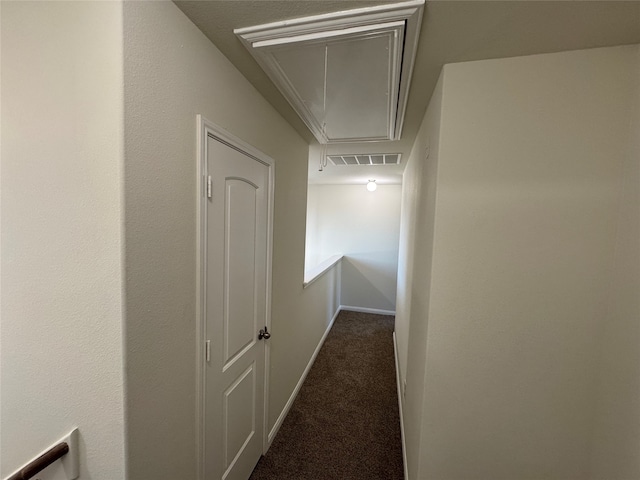 bathroom with hardwood / wood-style floors and vanity