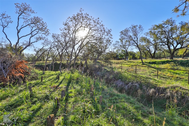 view of nature featuring a rural view