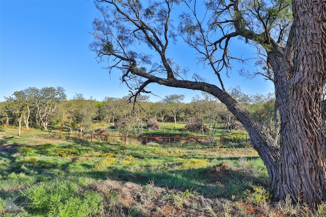 view of landscape with a rural view