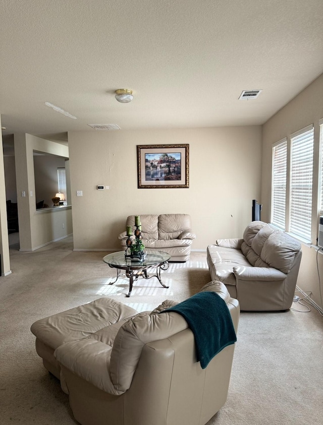 carpeted living room with a textured ceiling