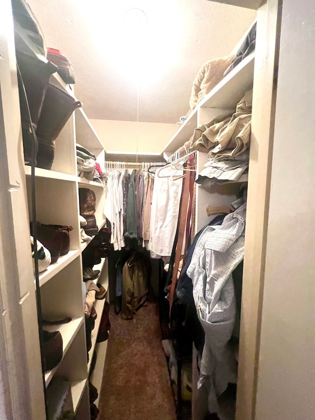 spacious closet with carpet floors