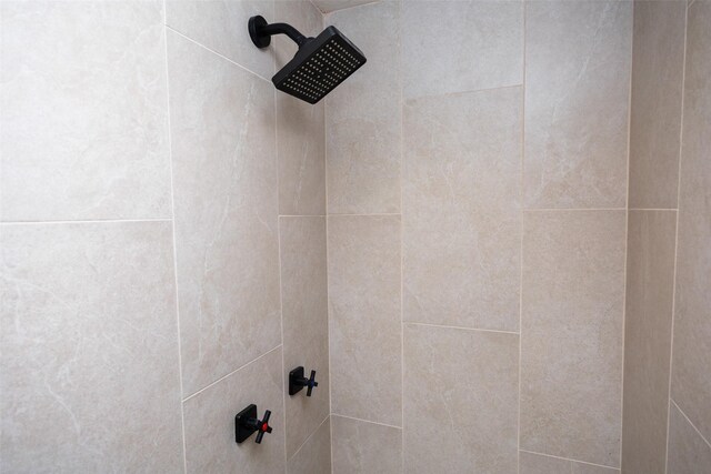 room details featuring a tile shower