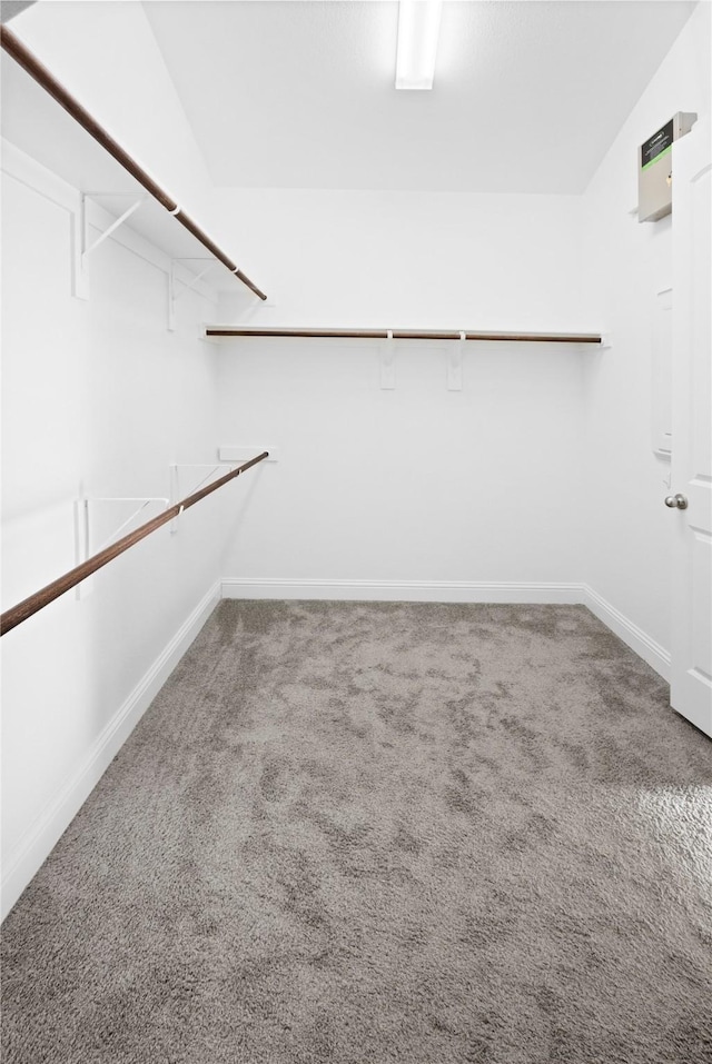 spacious closet with carpet floors