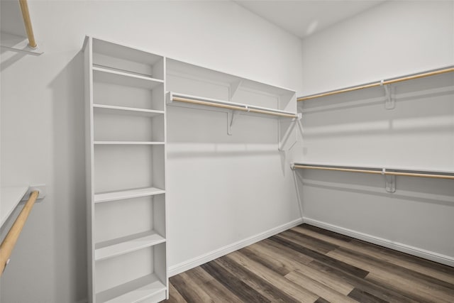 walk in closet featuring dark hardwood / wood-style floors