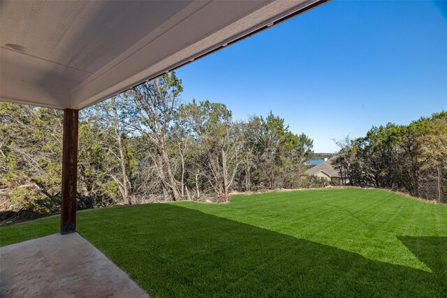 view of yard featuring a patio area