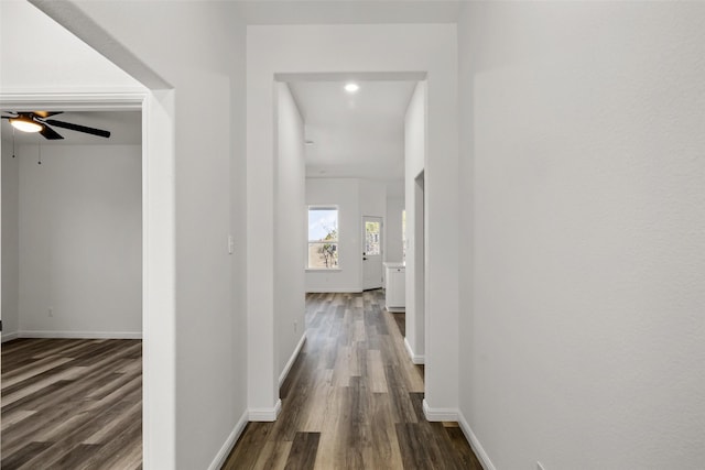 hallway with dark hardwood / wood-style flooring