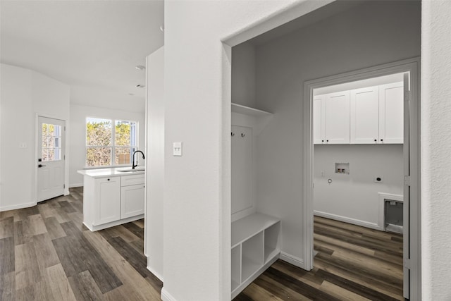 mudroom featuring dark hardwood / wood-style flooring and sink