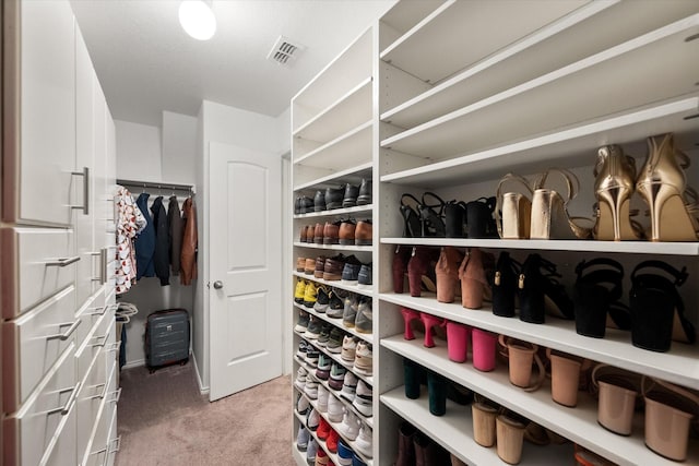 walk in closet with light carpet