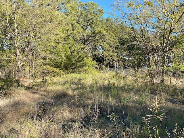 LOT506 Amy Dr, Hawk Cove TX, 75474 land for sale