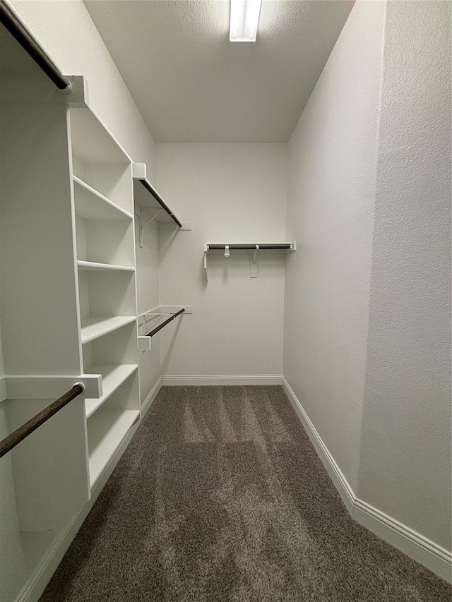 spacious closet with dark carpet