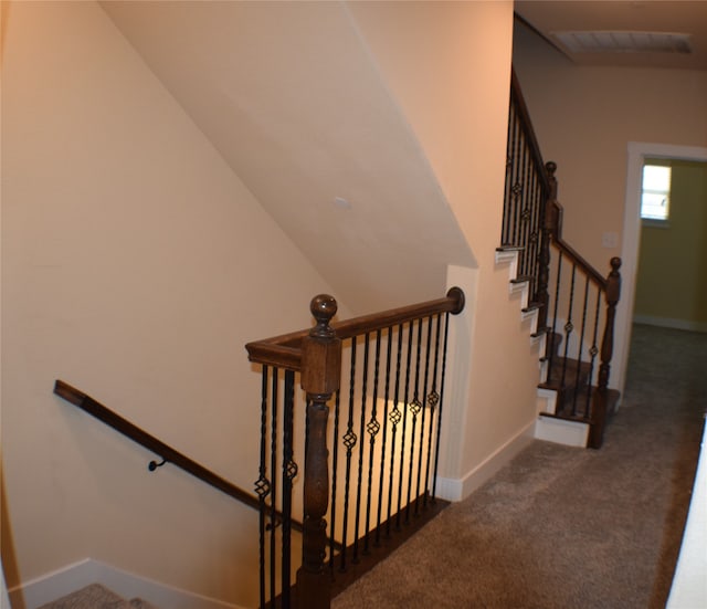 stairs featuring carpet flooring