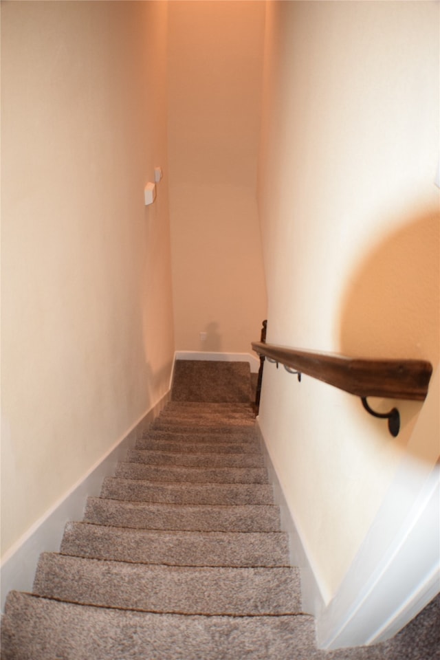 stairs with carpet floors