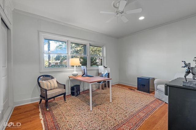 office featuring ceiling fan, light wood-type flooring, and crown molding