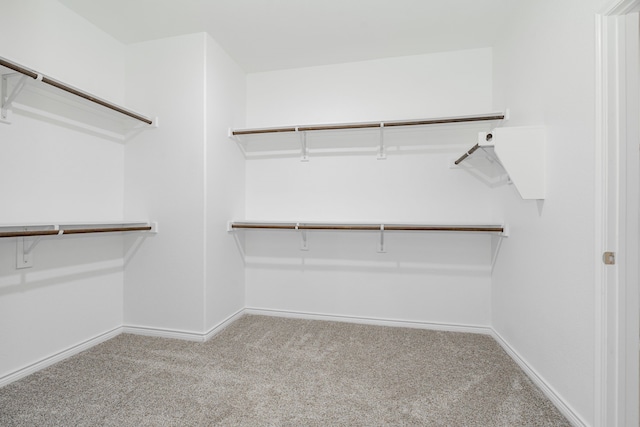 spacious closet featuring light colored carpet