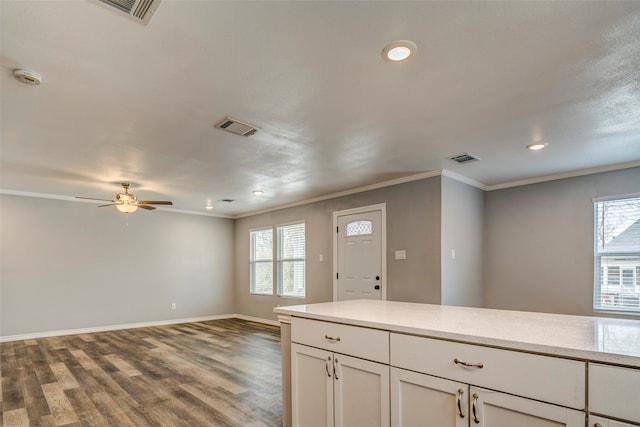 kitchen with wood-type flooring, a wealth of natural light, and ornamental molding